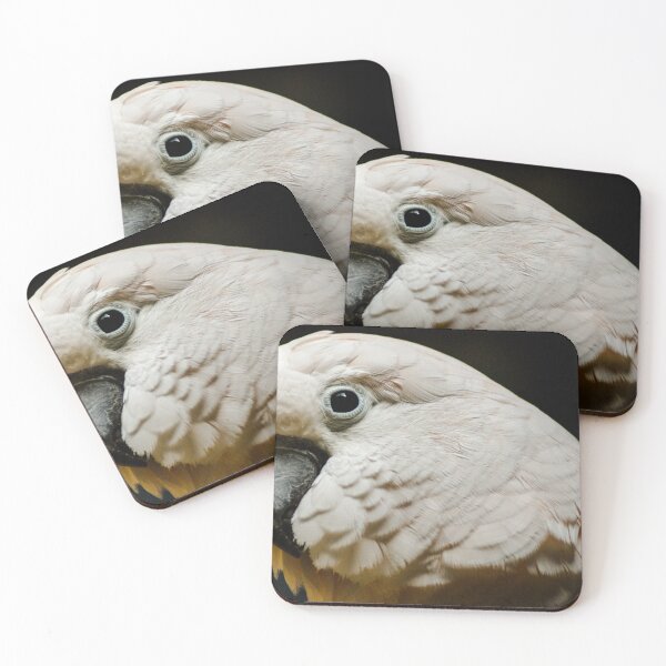 Item preview, White Parrot designed and sold by pcfyi.