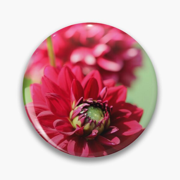 Item preview, Dahlia named Caproz Jerry Garcia designed and sold by JMcCombie.