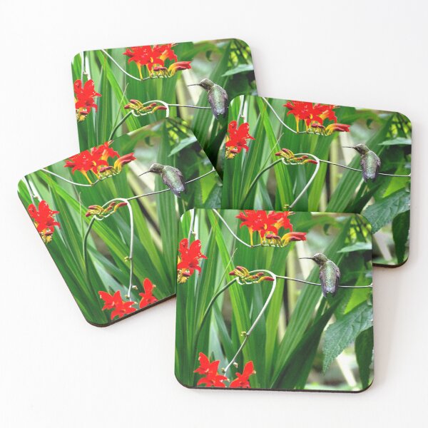 Item preview, Summer Crocosmia & Perched Hummer designed and sold by VeganBear.