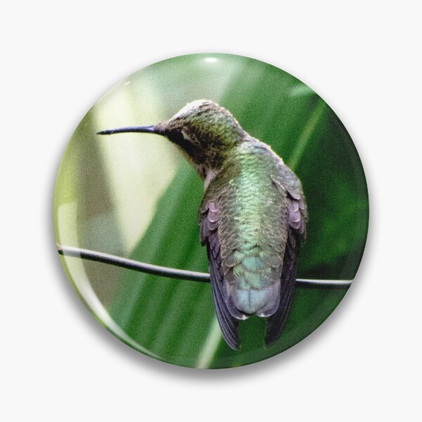 Item preview, Summer Crocosmia & Perched Hummer designed and sold by VeganBear.