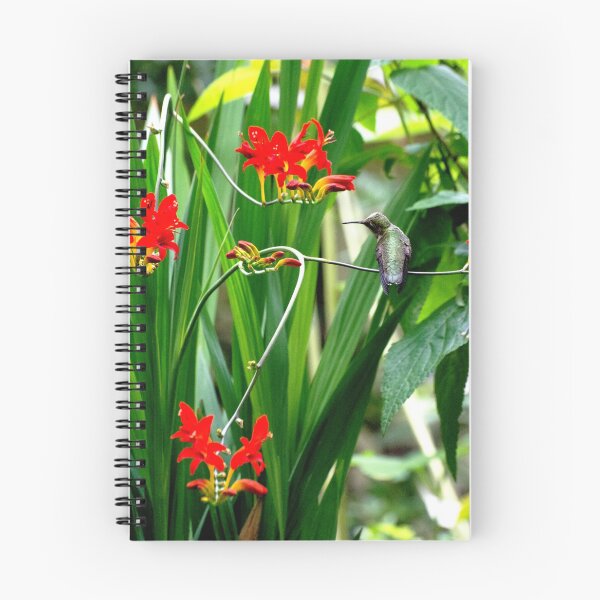 Item preview, Summer Crocosmia & Perched Hummer designed and sold by VeganBear.