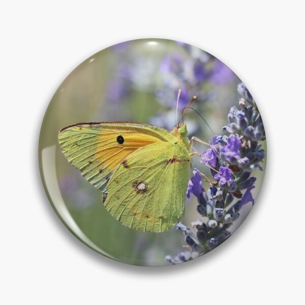 Item preview, Clouded Yellow Butterfly On Lavender designed and sold by SweepingShadows.