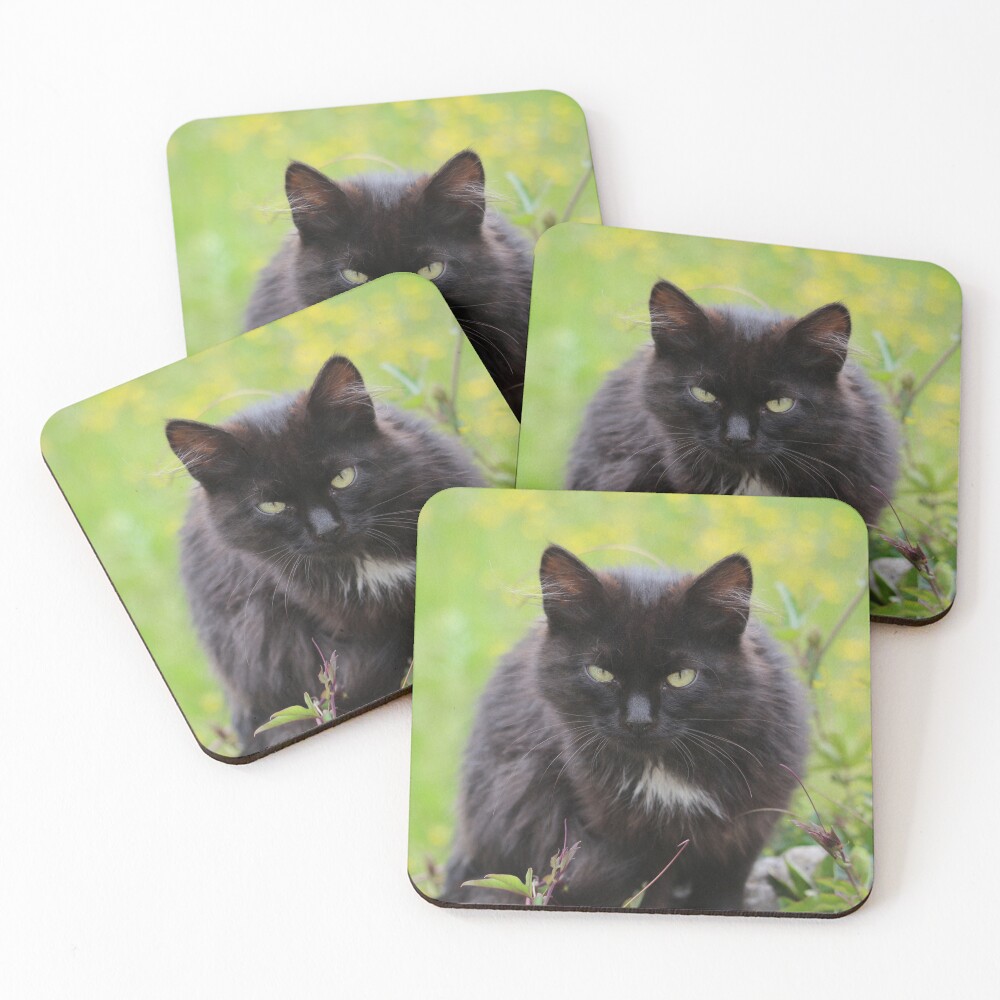 Item preview, Coasters (Set of 4) designed and sold by SweepingShadows.