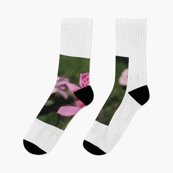 Item preview, A new rose designed and sold by pcfyi.