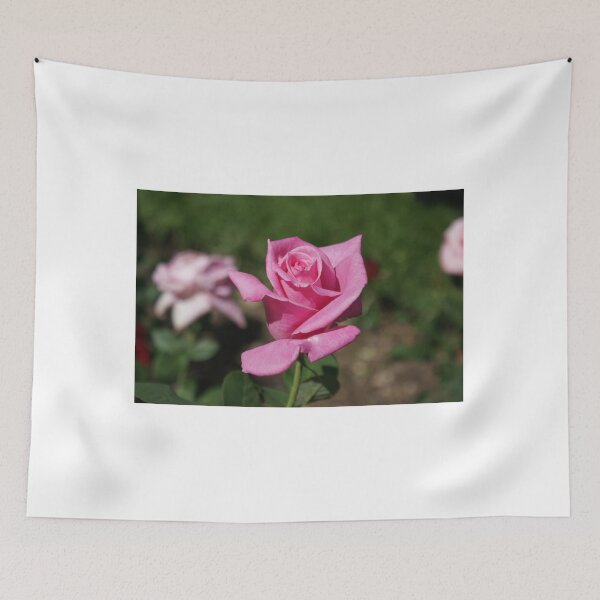 Item preview, A new rose designed and sold by pcfyi.