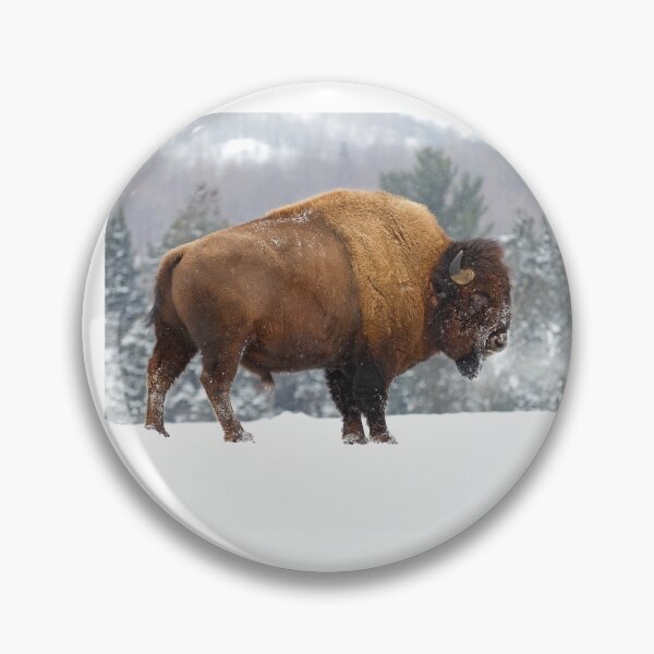Item preview, Buffalo in Winter designed and sold by James Cumming.