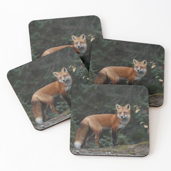 Item preview, Red Fox designed and sold by mlorenz.