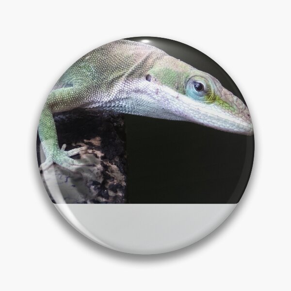Item preview, Lizard Close Up designed and sold by Roger Easley.
