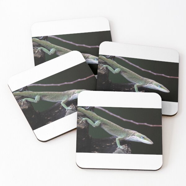 Item preview, Lizard Close Up designed and sold by Roger Easley.