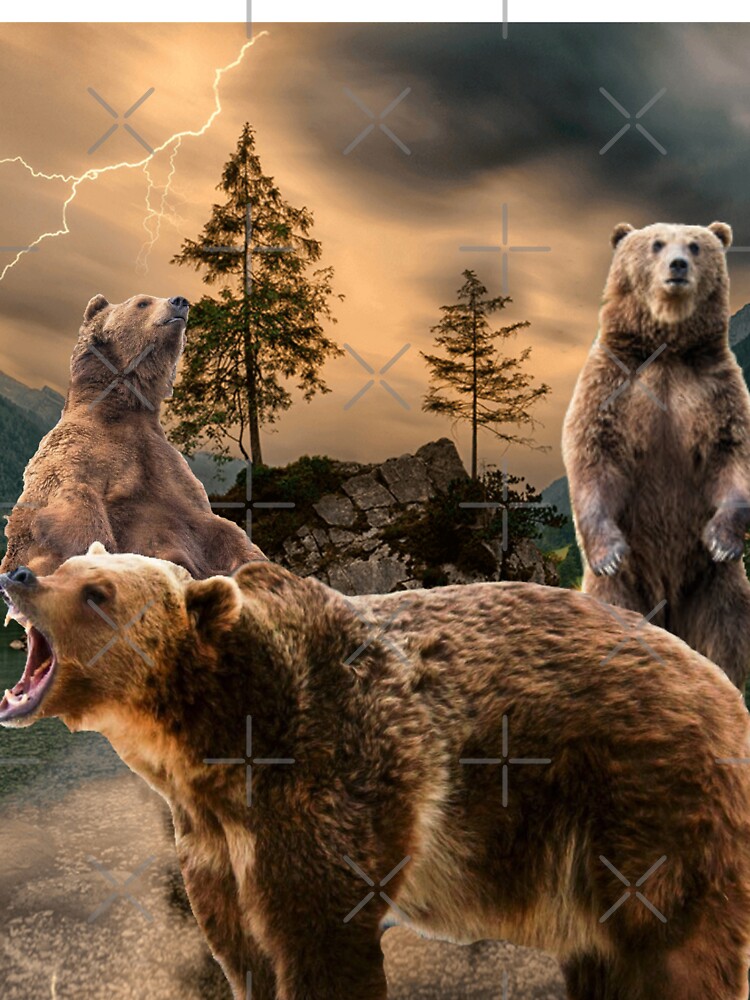 Majestic Grizzly Bears