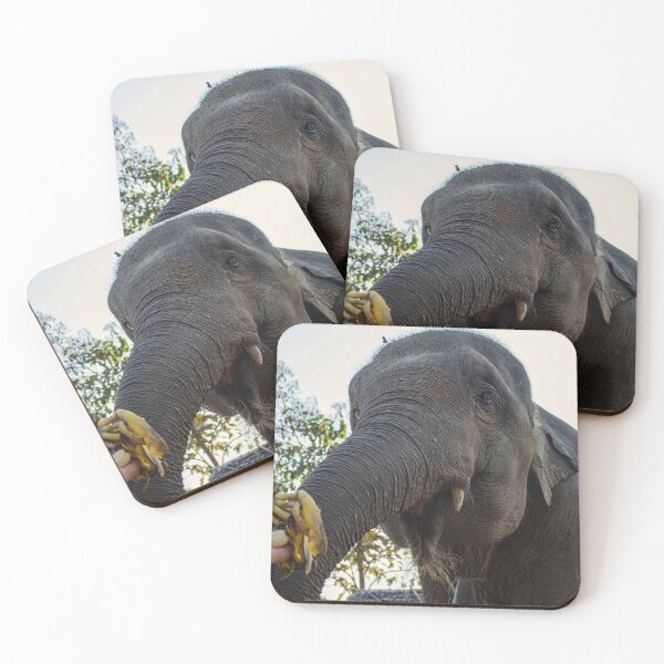 Item preview, Feed the Baby Elephant designed and sold by pkumi.