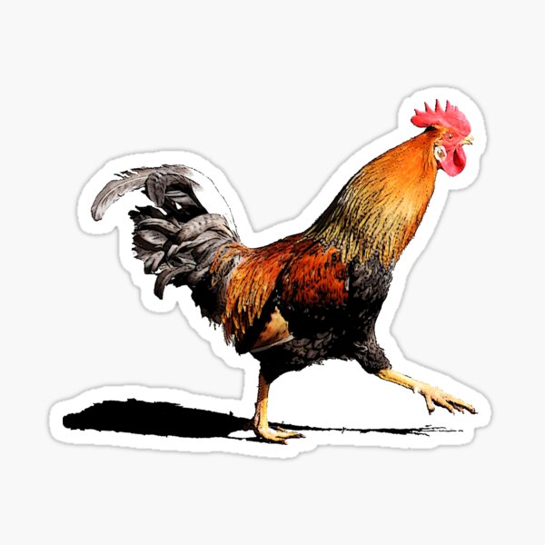 Rooster Sticker