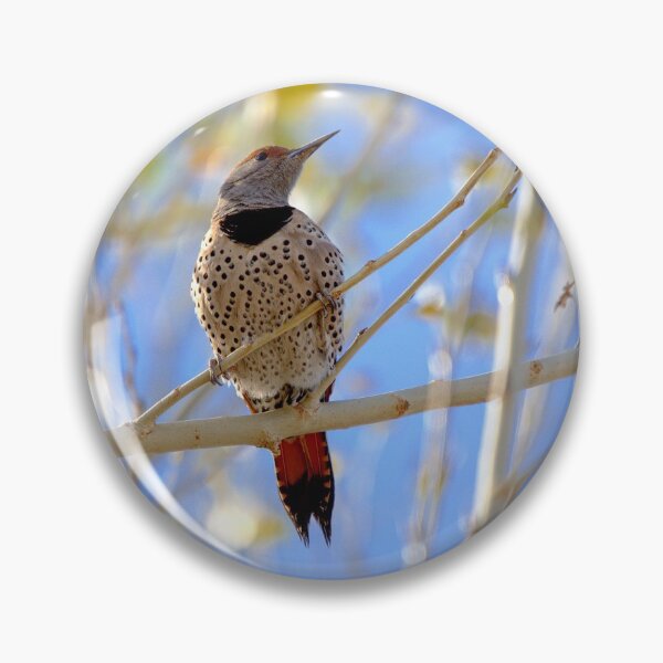 Item preview, Northern Flicker  designed and sold by CarolM.