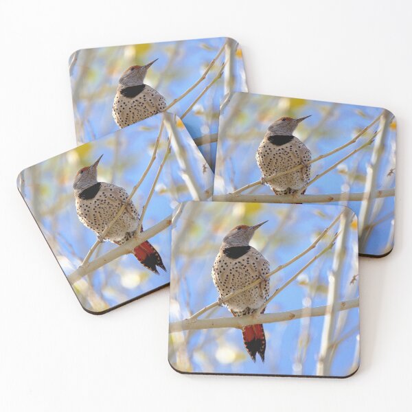Item preview, Northern Flicker  designed and sold by CarolM.