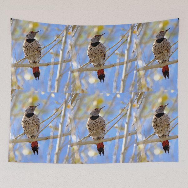 Item preview, Northern Flicker  designed and sold by CarolM.