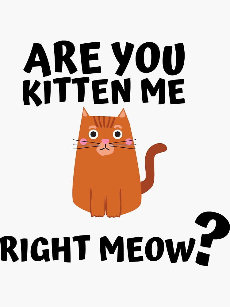 Are You Kitten Me Right Meow Sticker For Sale By Keikem Redbubble