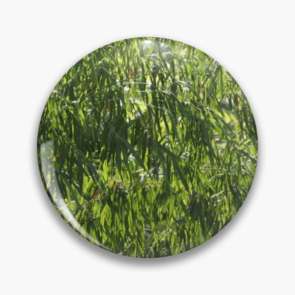 Item preview, Bamboo texture designed and sold by Ana Lucía Jiménez-Hine.