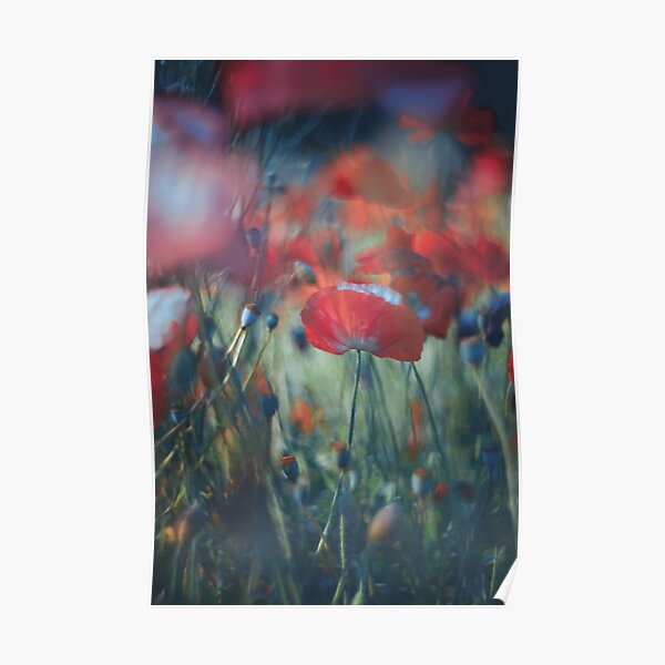 loves garden Poster