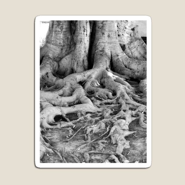 Library Tree Magnet
