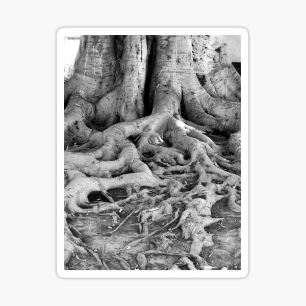 Library Tree Sticker
