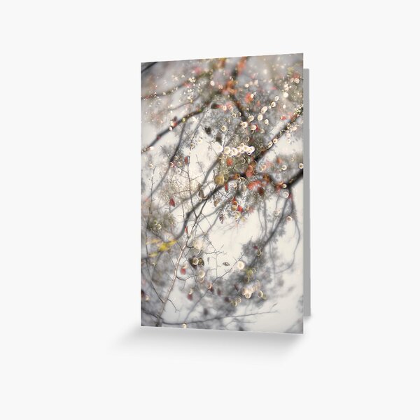 leaves and light Greeting Card