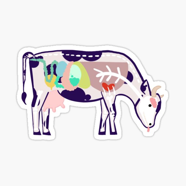 Item preview, Cow anatomy designed and sold by DrSmarms.