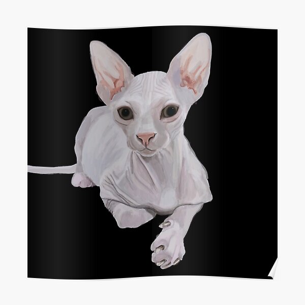 Sphinx Posters Redbubble