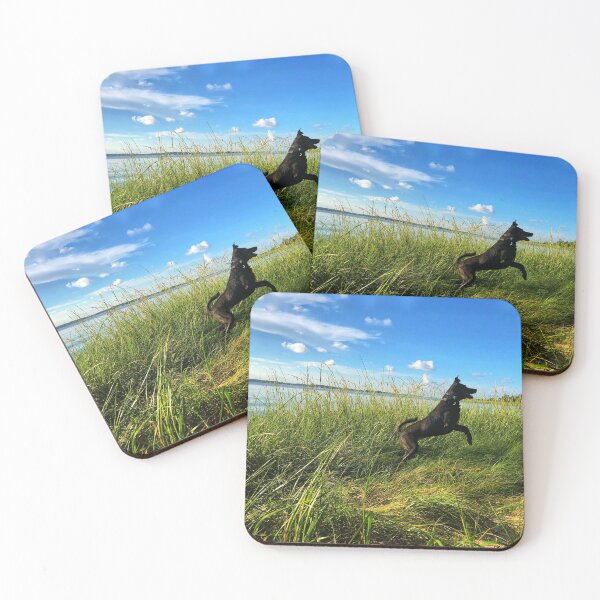 Item preview, Black Dog playing at the Beach designed and sold by Lindsay Williams.