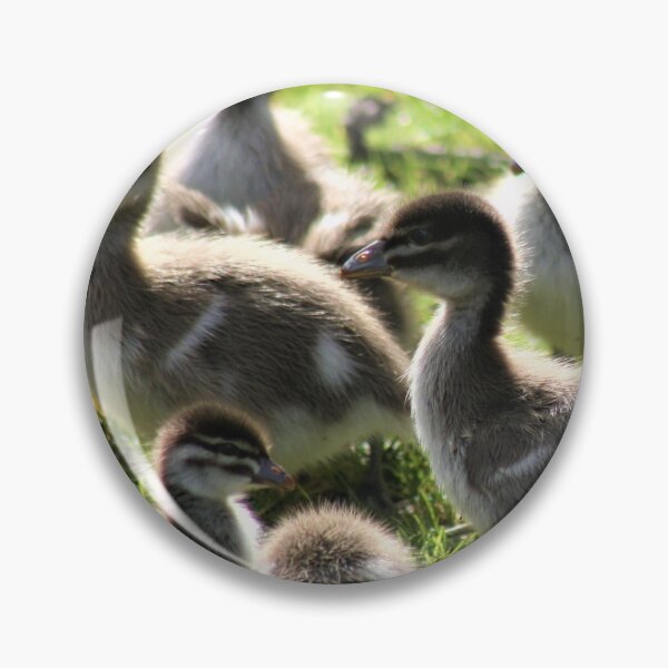 Item preview, A dozen ducklings  designed and sold by Andyt.
