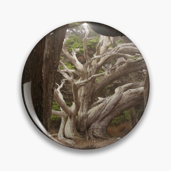 Item preview, Pygmy Cypress Grove designed and sold by Barbara  Brown.