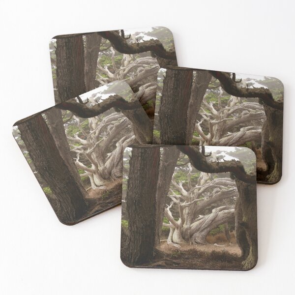 Item preview, Pygmy Cypress Grove designed and sold by Barbara  Brown.
