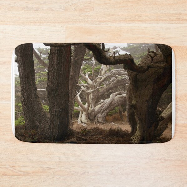 Item preview, Pygmy Cypress Grove designed and sold by Barbara  Brown.