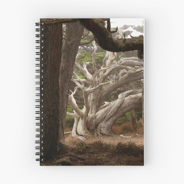 Item preview, Pygmy Cypress Grove designed and sold by Barbara  Brown.