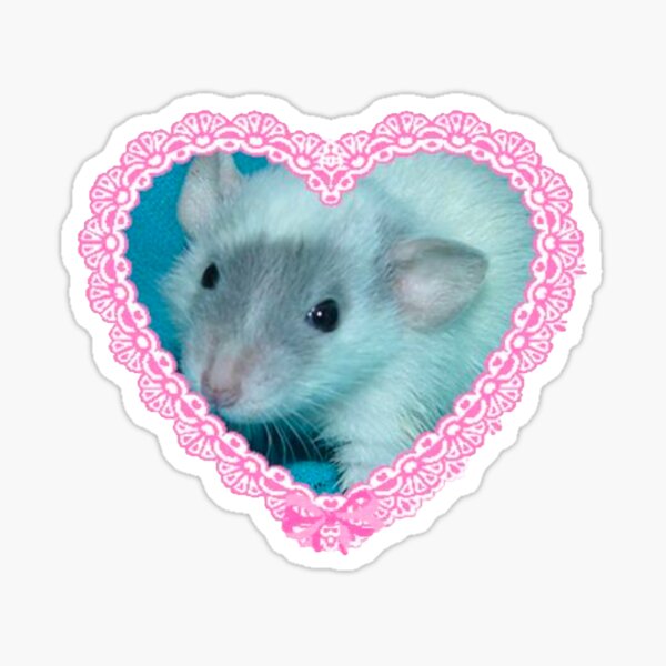 cute rat Sticker