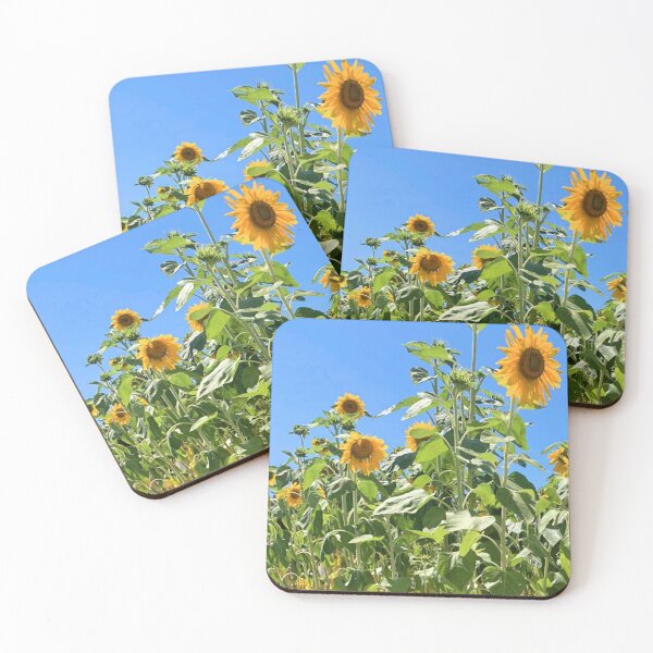 Item preview, Sunflower Field Natural Photo designed and sold by nessalunas.