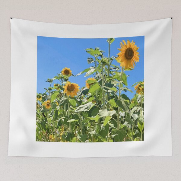 Item preview, Sunflower Field Natural Photo designed and sold by nessalunas.