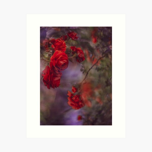 red temptation Art Print