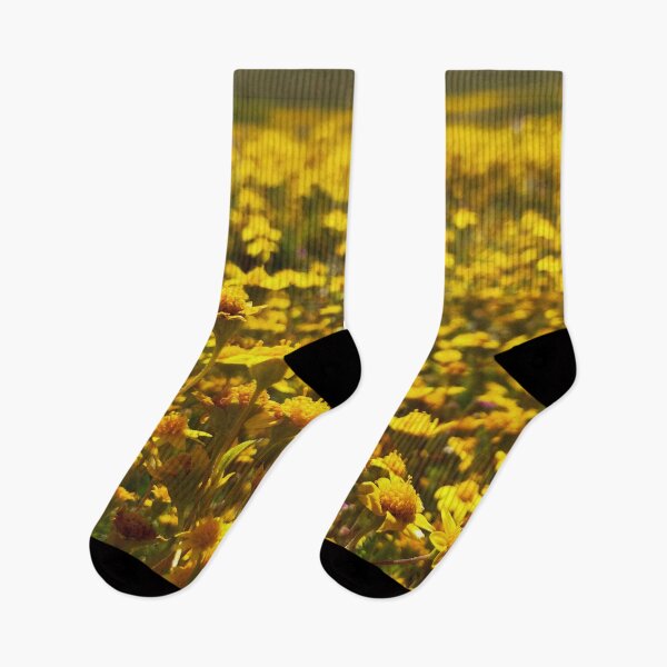Item preview, Yellow Daisy Closeup Photography designed and sold by KarebearsTees.