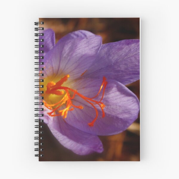 Item preview, Saffron Crocus designed and sold by AnnDixon.