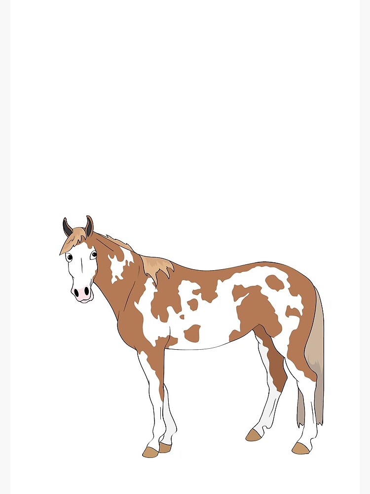 Cartoon of Tonto the paint gelding by Talesofthetrail