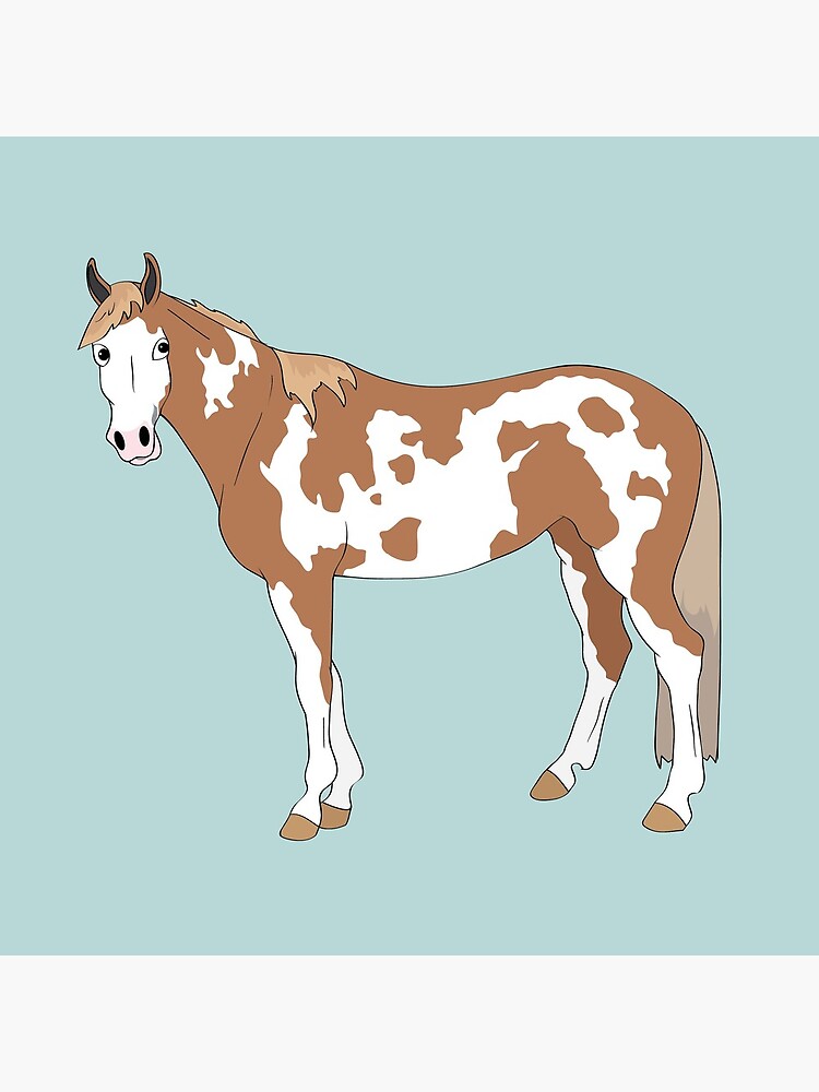 Cartoon of Tonto the paint gelding by Talesofthetrail