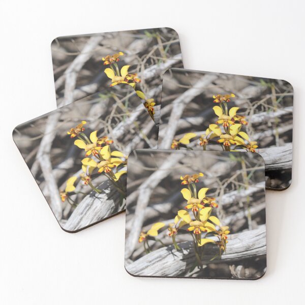 Item preview, Arrowsmith Donkey Orchid designed and sold by Michaela Perryman.