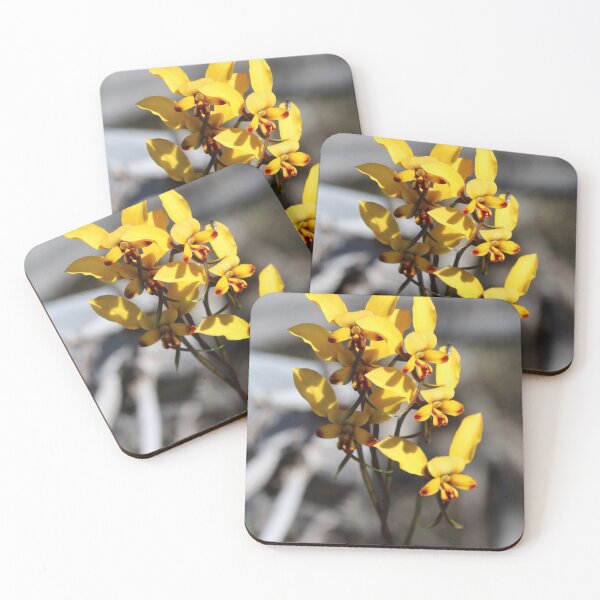 Item preview, Arrowsmith Donkey Orchid - 2 designed and sold by Michaela Perryman.