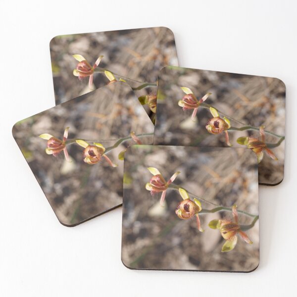 Item preview, Three Dancing Spider Orchids designed and sold by Michaela Perryman.