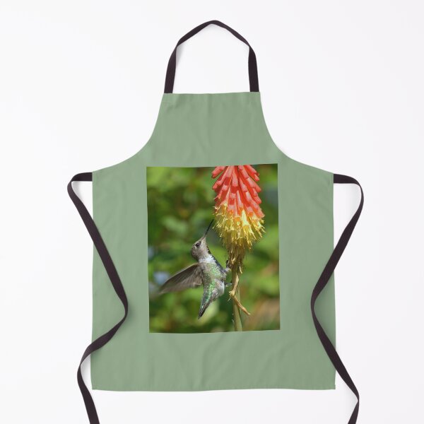 Item preview, Hummingbird on Red Hot Poker designed and sold by K D Graves Photography.