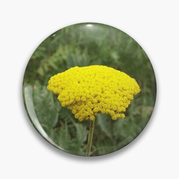 Item preview, Yarrow designed and sold by greentiger1.