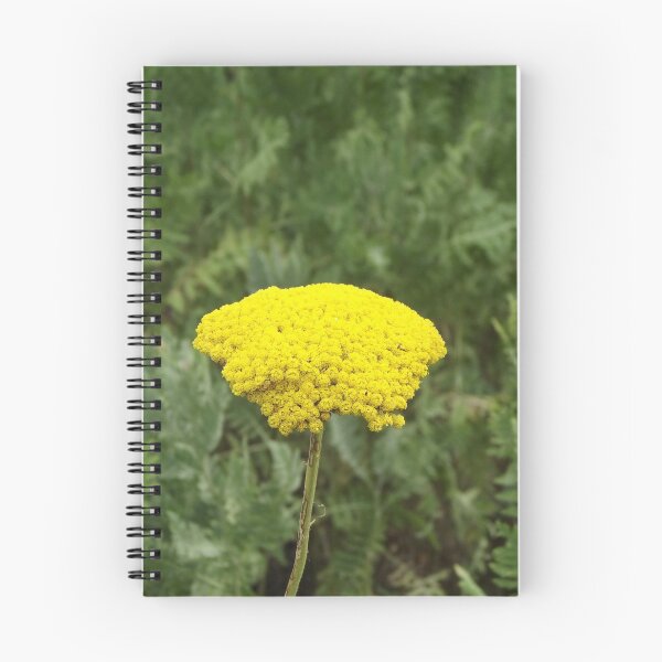 Item preview, Yarrow designed and sold by greentiger1.
