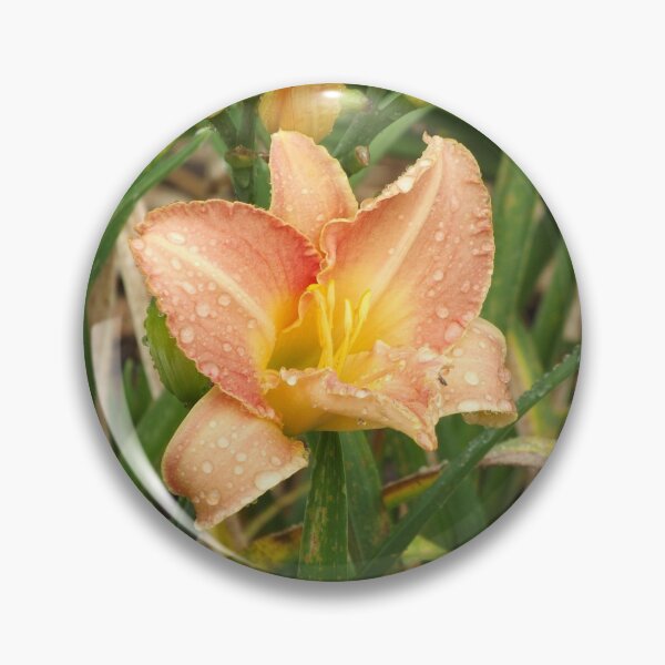 Item preview, Orange amaryllis designed and sold by greentiger1.