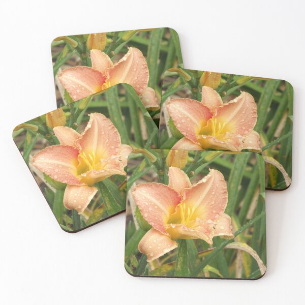 Item preview, Orange amaryllis designed and sold by greentiger1.