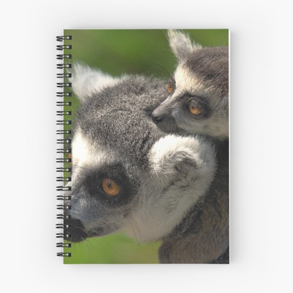 Item preview, Ring-tailed Lemur with Baby designed and sold by Jo Nijenhuis.